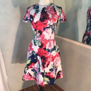 Milly Floral Dress.